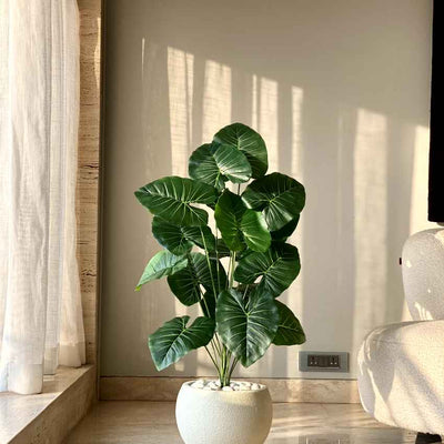 Artificial Green Shade Midas Pothos Plant Without Pot | 3 Feet