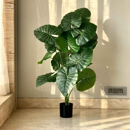 Artificial Green Shade Midas Pothos Plant Without Pot | 3 Feet