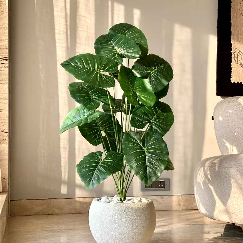 Artificial Green Shade Midas Pothos Plant Without Pot | 3 Feet