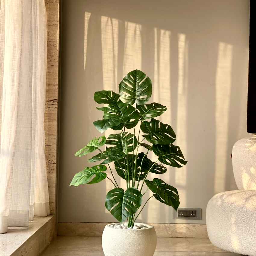 Artificial Green Shade Midas Monstera Plant Without Pot | 3 Feet