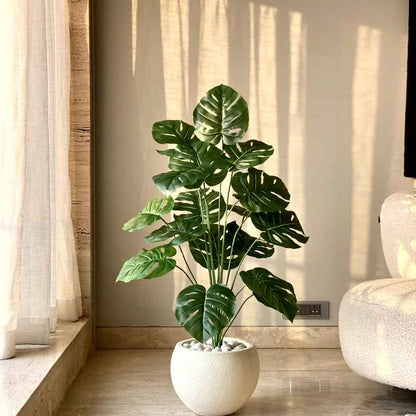 Artificial Green Shade Midas Monstera Plant Without Pot | 3 Feet