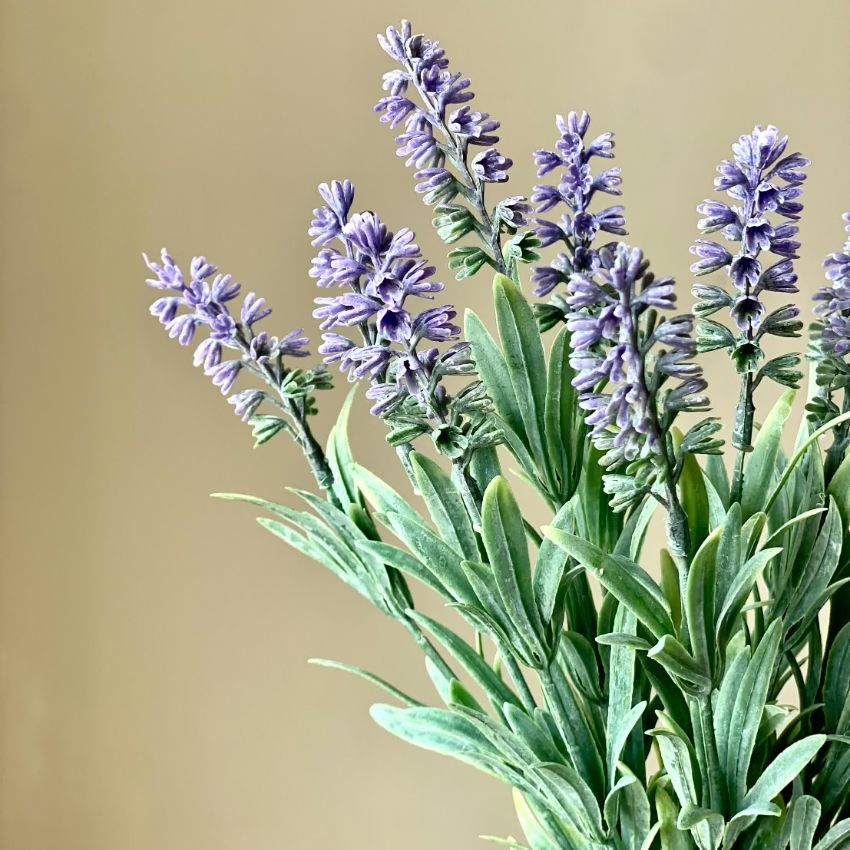 Beautiful Purple & Green Shade Artificial Lavandula Flower Bunch Without Pot | 6 x 16 inches