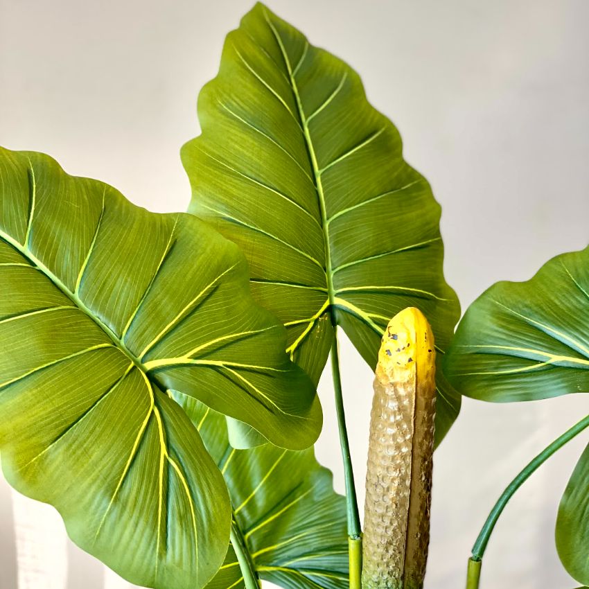 Artificial Green Shade Alocasia Zebrina Plant Without Pot | 4 Feet