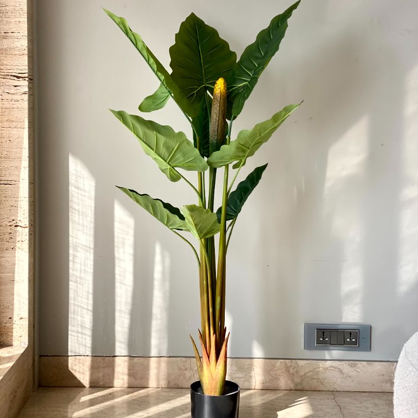 Artificial Green Shade Alocasia Zebrina Plant Without Pot | 4 Feet