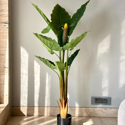 Artificial Green Shade Alocasia Zebrina Plant Without Pot | 4 Feet