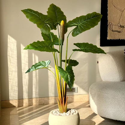 Artificial Green Shade Alocasia Zebrina Plant Without Pot | 4 Feet