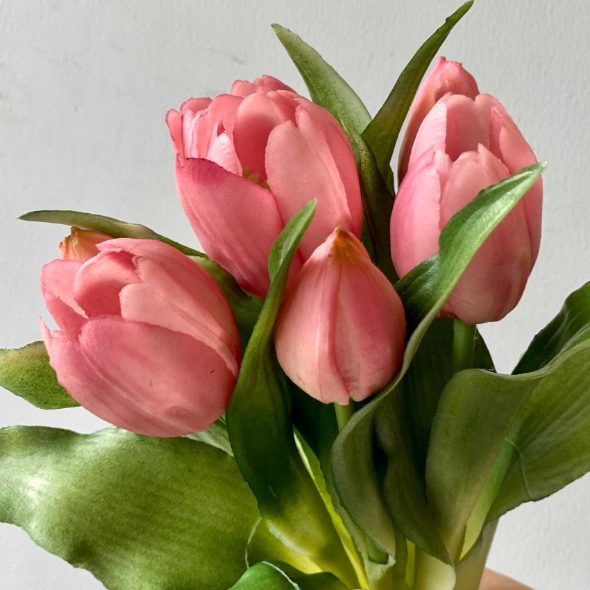 Beautiful Pink & Green Shade Artificial Tulip Flower Bunch Without Vase | 6 x 11 inches