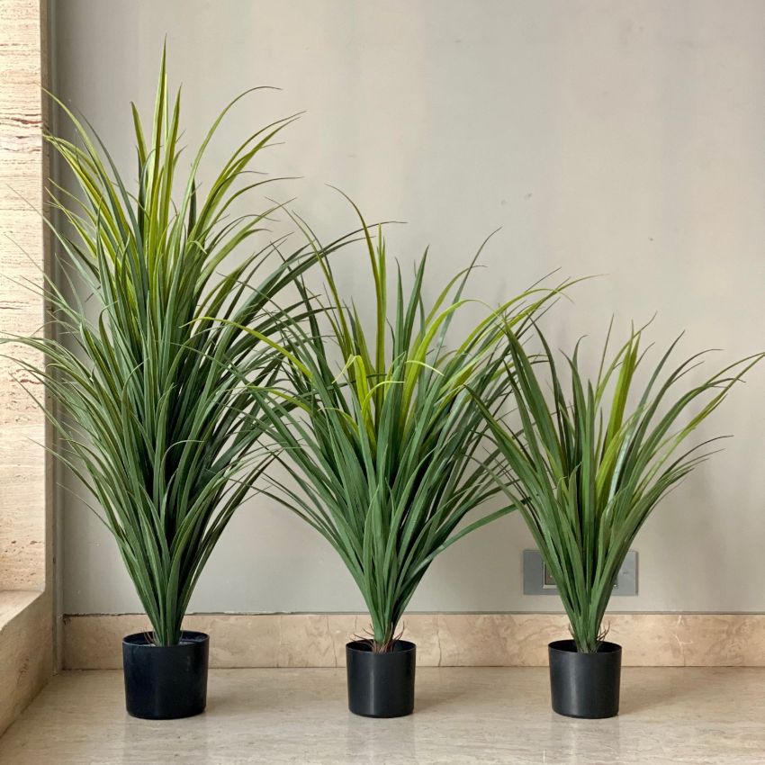Elegant Design Green Artificial Dragon Plant Without Pot