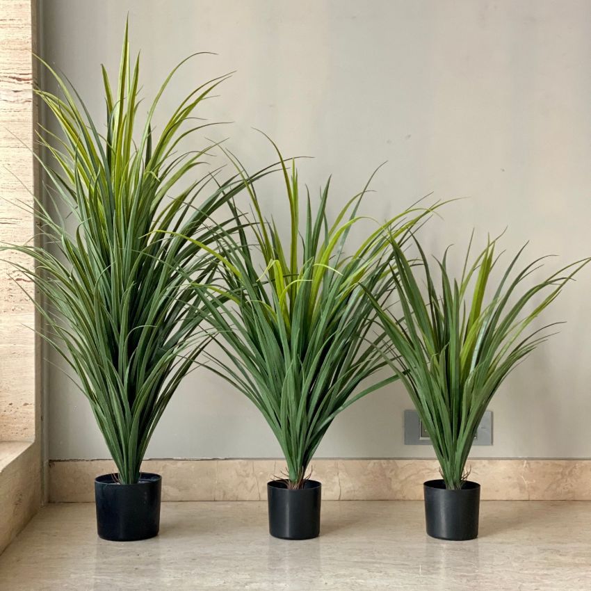Elegant Design Green Artificial Dragon Plant Without Pot