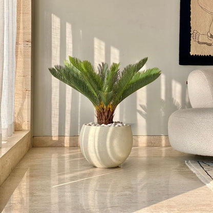 Artificial Green Shade Cycas Plant Without Pot