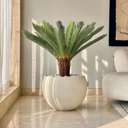 Artificial Green Shade Cycas Plant Without Pot