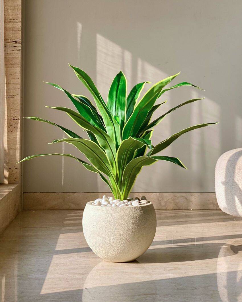 Artificial Variegated Dracaena Plant | Pot not included