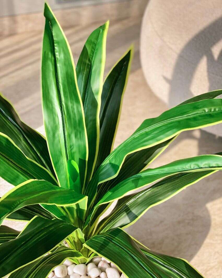 Artificial Variegated Dracaena Plant | Pot not included