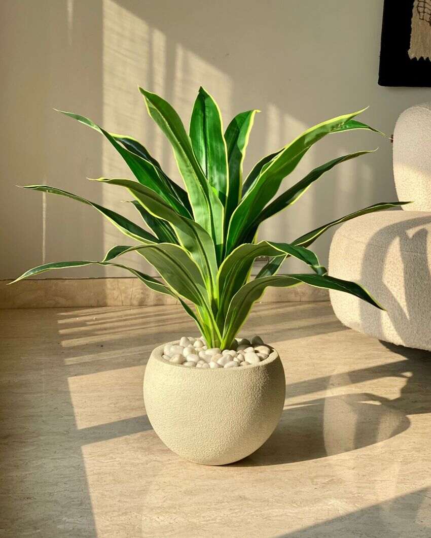 Artificial Variegated Dracaena Plant | Pot not included