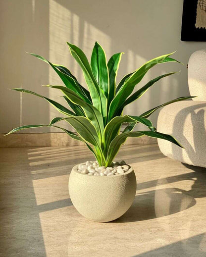 Artificial Variegated Dracaena Plant | Pot not included
