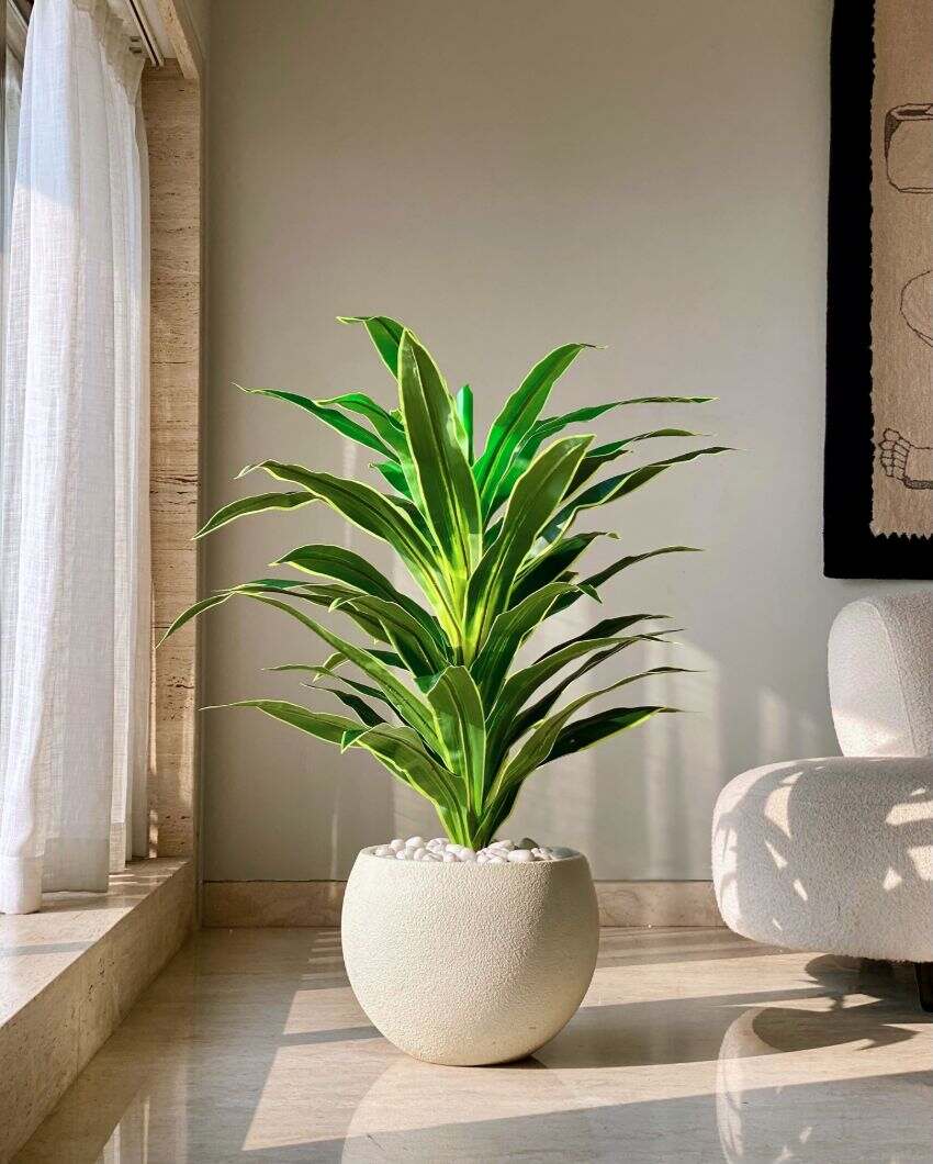 Artificial Variegated Dracaena Plant | Pot not included