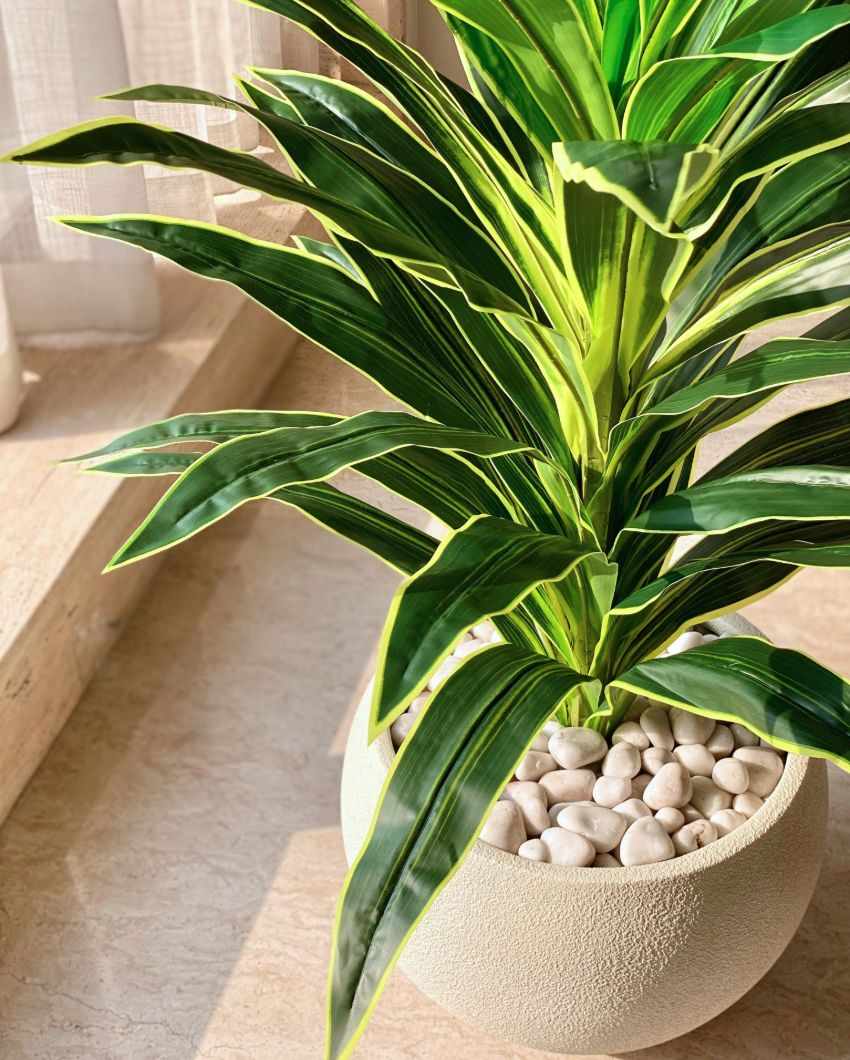 Artificial Variegated Dracaena Plant | Pot not included