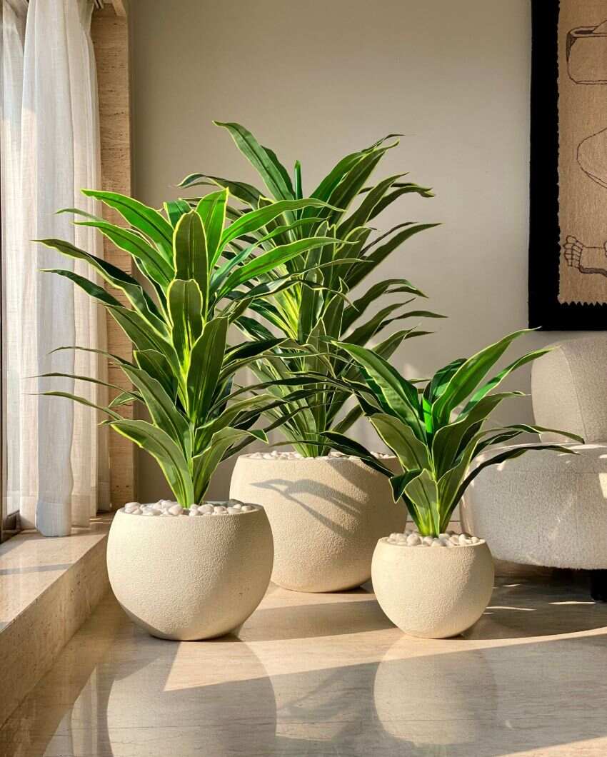 Artificial Variegated Dracaena Plant | Pot not included