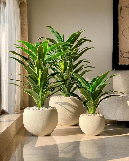Artificial Variegated Dracaena Plant | Pot not included