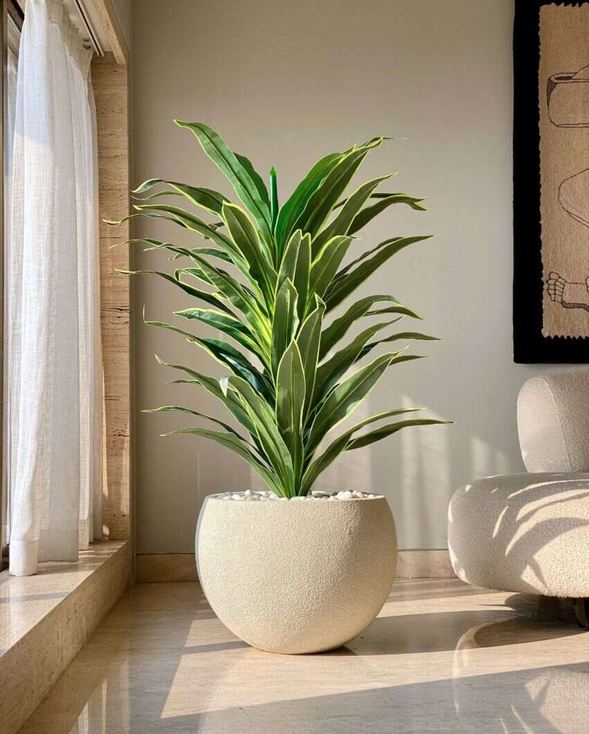 Artificial Variegated Dracaena Plant | Pot not included