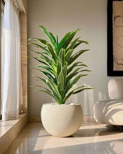 Artificial Variegated Dracaena Plant | Pot not included