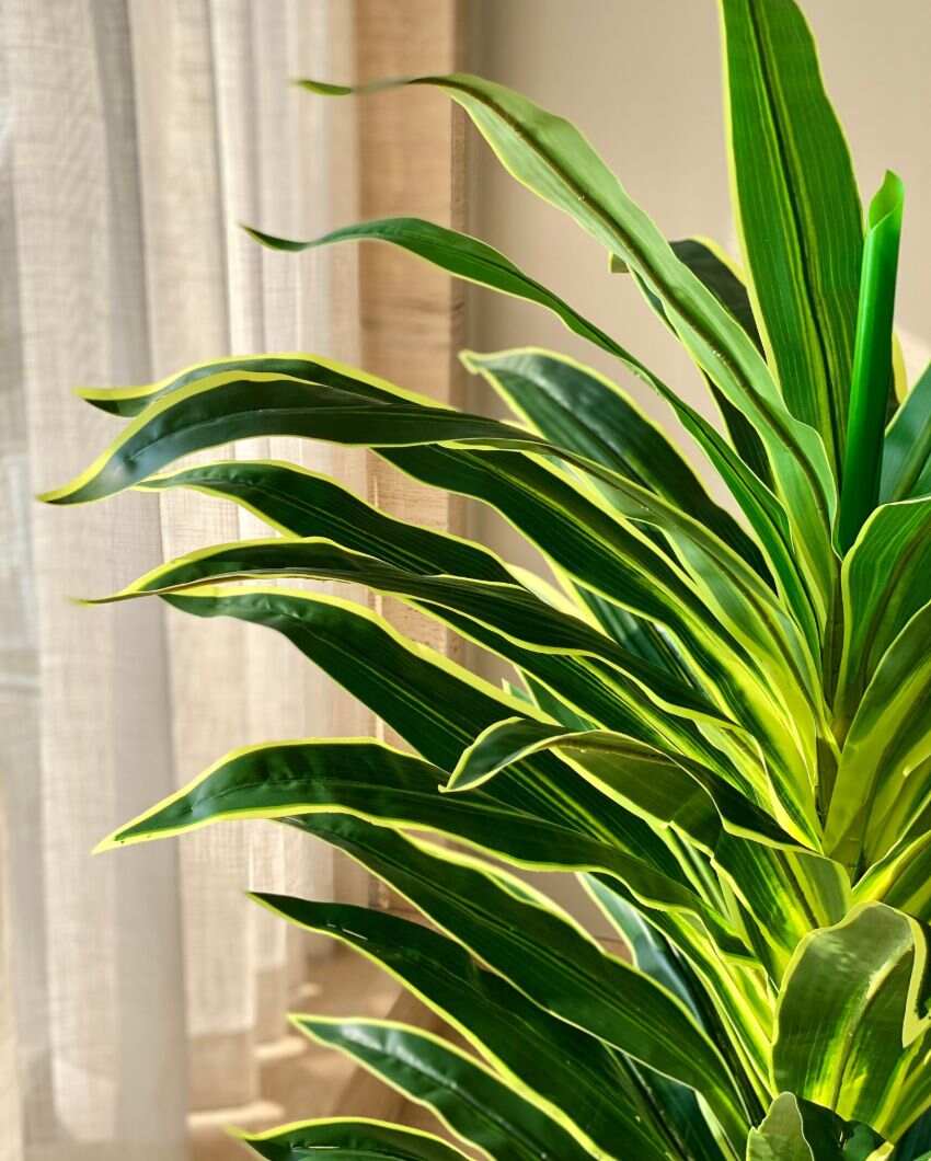 Artificial Variegated Dracaena Plant | Pot not included