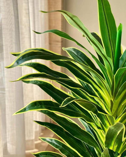 Artificial Variegated Dracaena Plant | Pot not included
