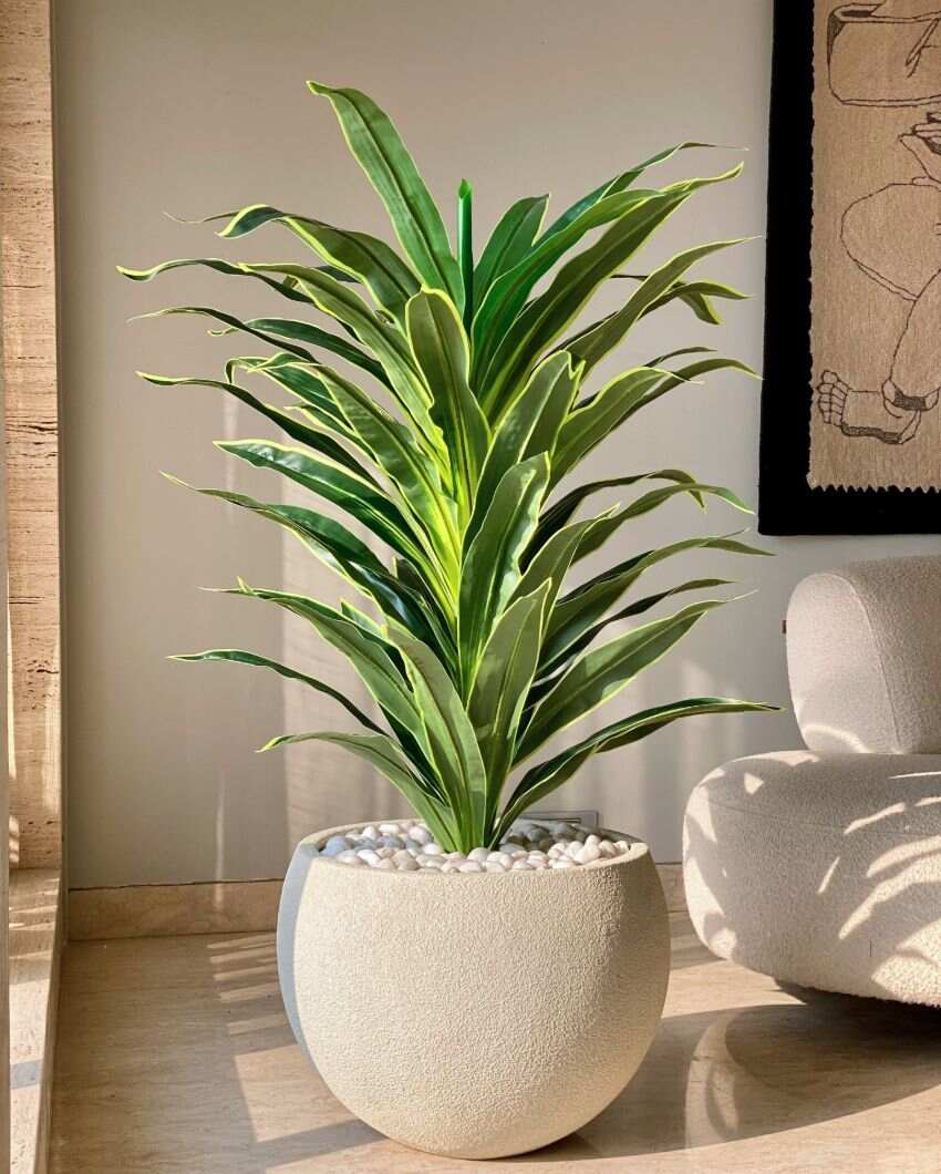 Artificial Variegated Dracaena Plant | Pot not included