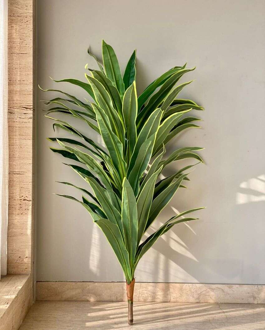 Artificial Variegated Dracaena Plant | Pot not included