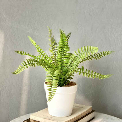 Artificial Green Shade Fern Bush Plant with Pot | 6 x 12 inches