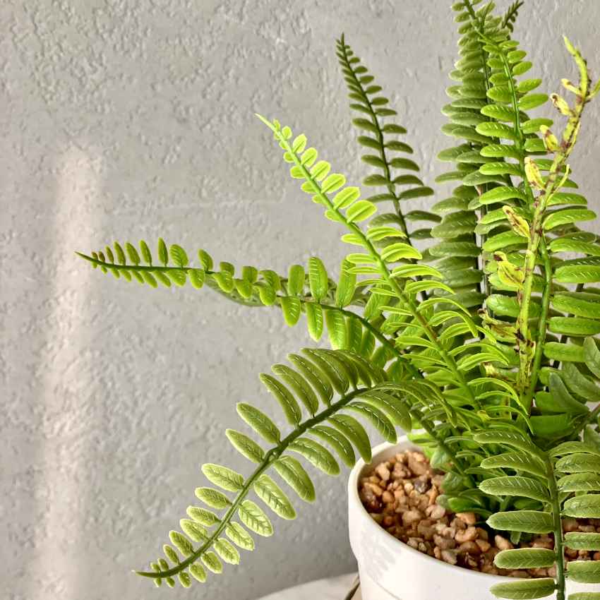 Artificial Green Shade Fern Bush Plant with Pot | 4 x 12 inches