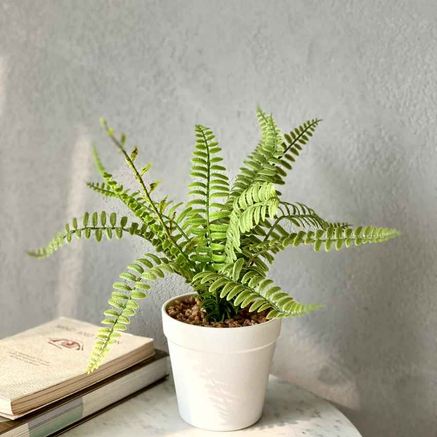 Artificial Green Shade Fern Bush Plant with Pot | 4 x 12 inches