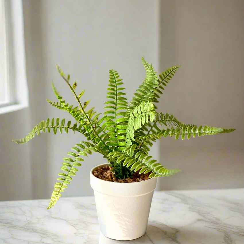 Artificial Green Shade Fern Bush Plant with Pot | 4 x 12 inches