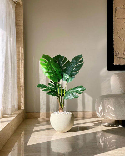 Artificial Paradise Monstera Plant | Pot not included