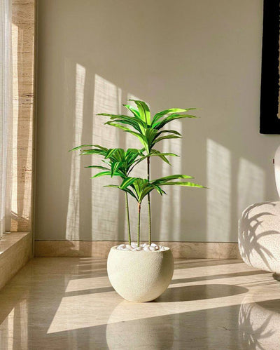 Artificial Botanic Dracaena Plant | Pot not included