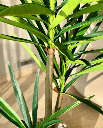 Artificial Yucca Palm Plant | 6 Feet | Pot not included