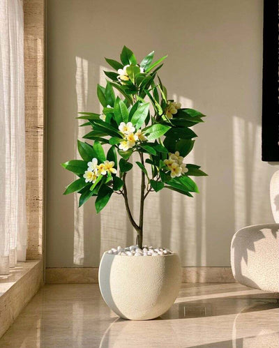 Artificial Frangipani Bloom Plant | 4 Feet | Pot not included