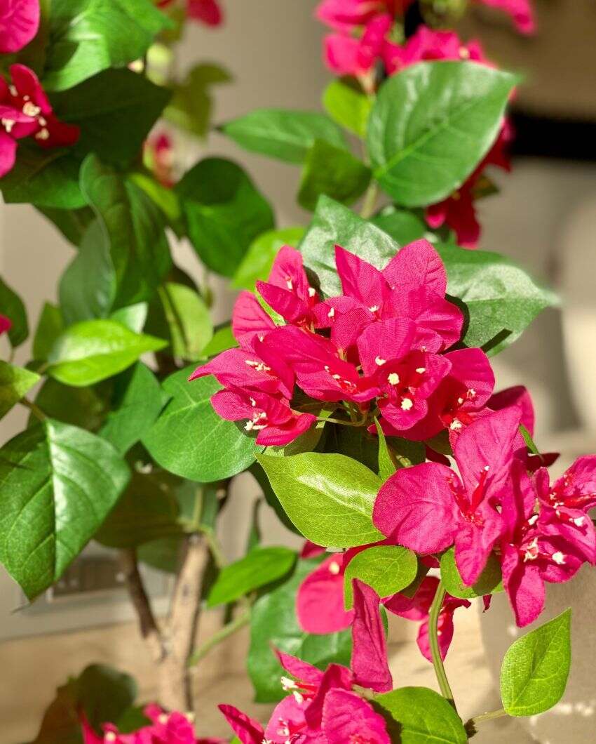 Artificial Cerise Bougainvillea Plant | 3 Feet | Pot not included