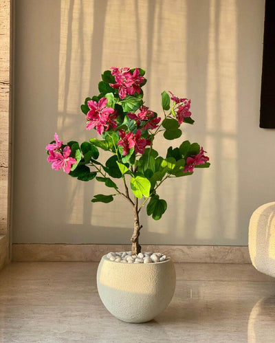 Artificial Blush Bauhinia Plant | Pot not included