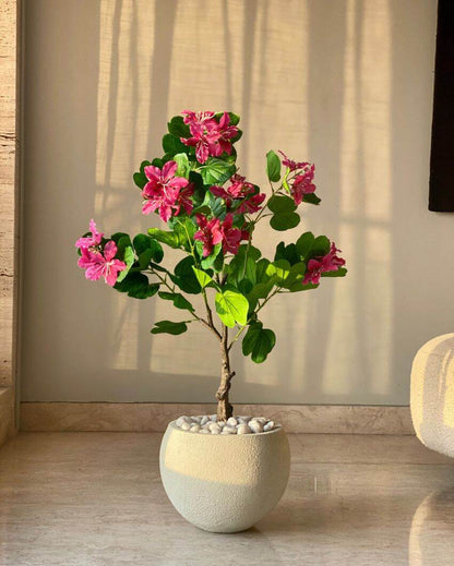Artificial Blush Bauhinia Plant | Pot not included