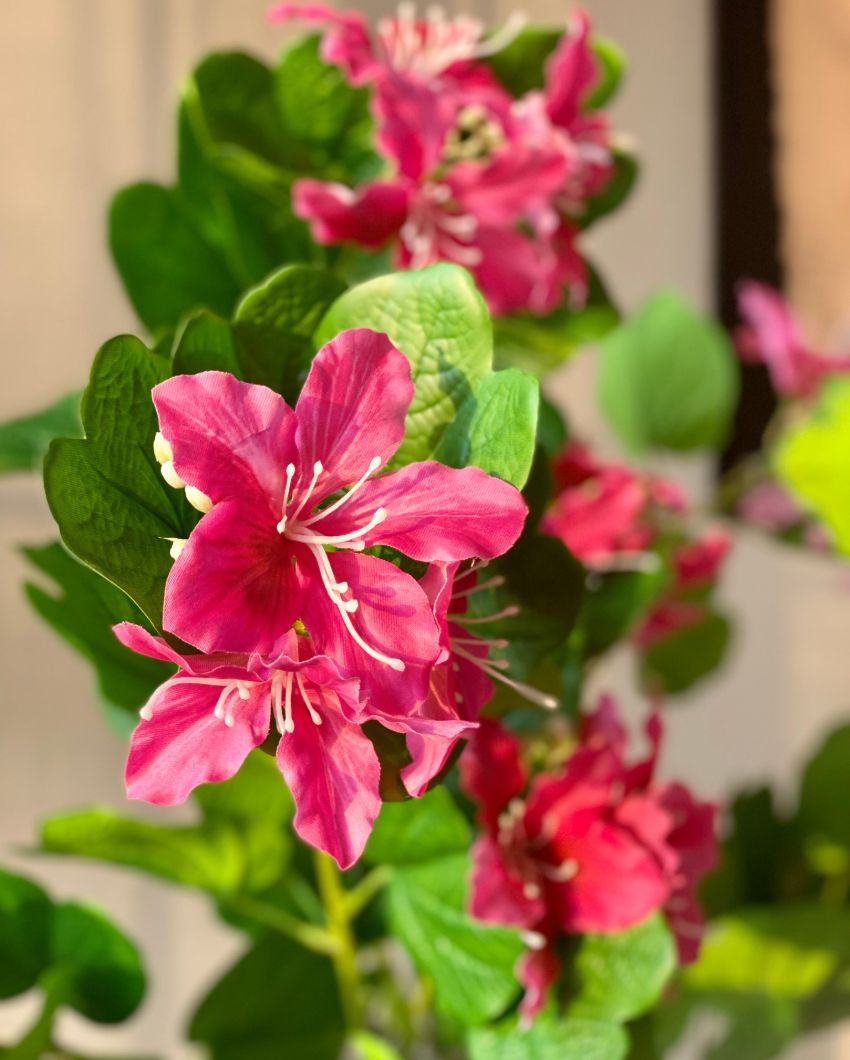 Artificial Blush Bauhinia Plant | Pot not included