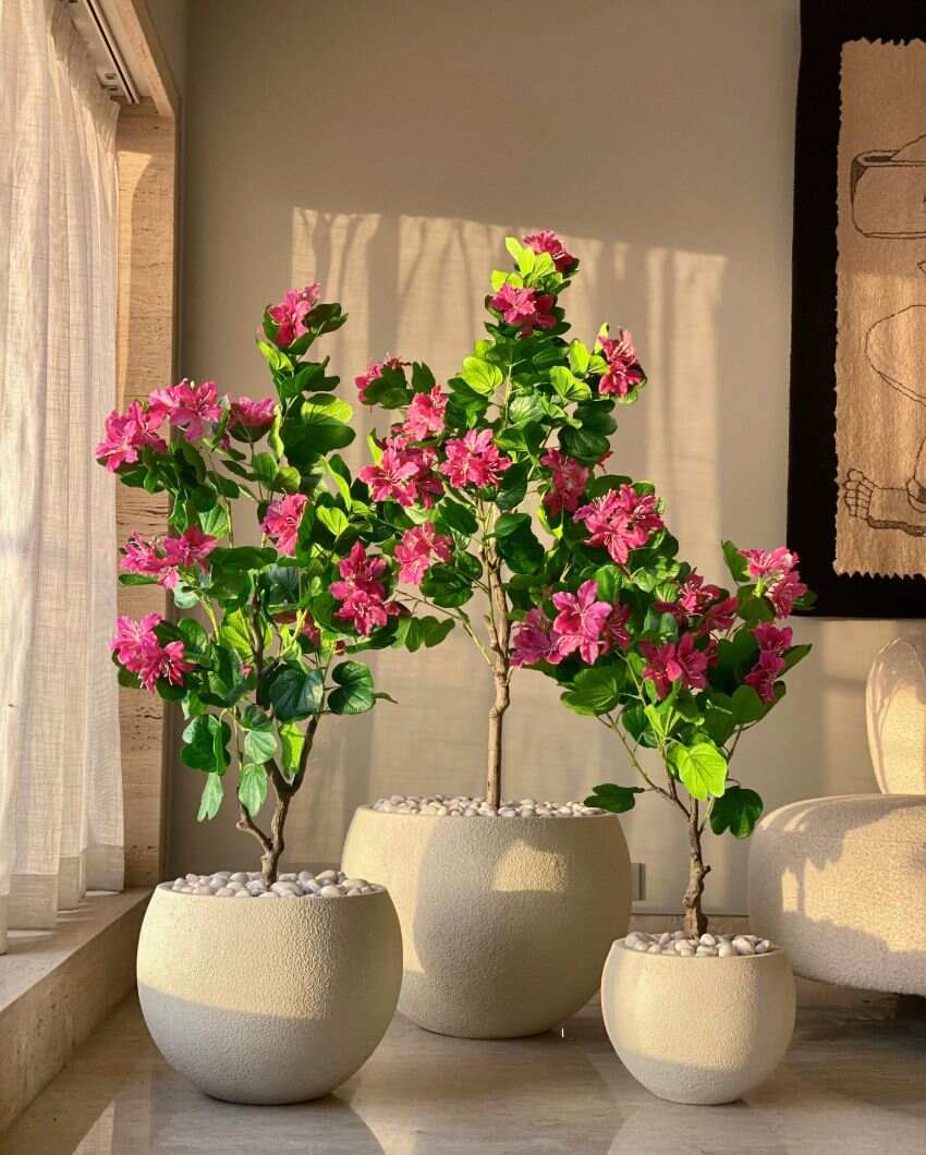 Artificial Blush Bauhinia Plant | Pot not included