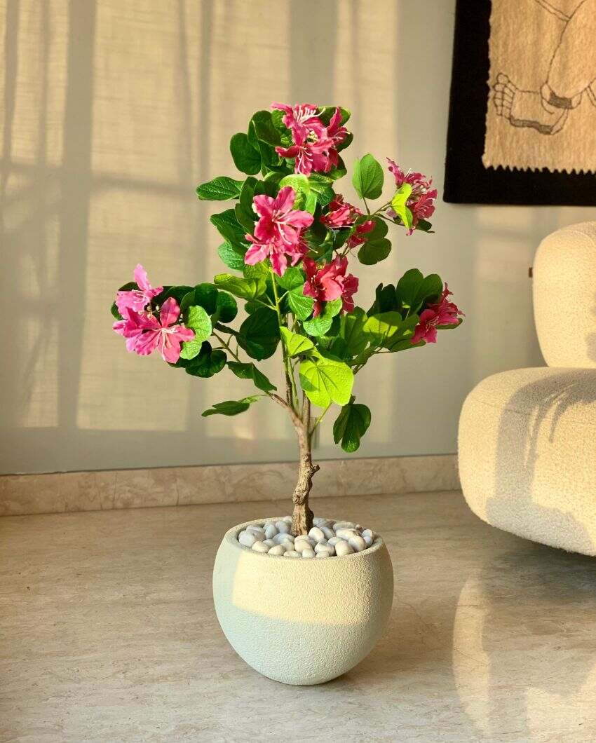 Artificial Blush Bauhinia Plant | Pot not included