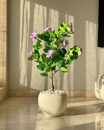 Artificial Lilac Bauhinia Plant | Pot not included