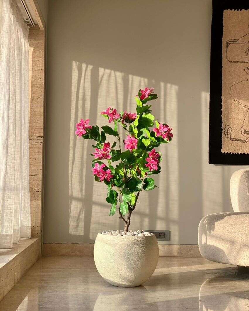 Artificial Blush Bauhinia Plant | Pot not included