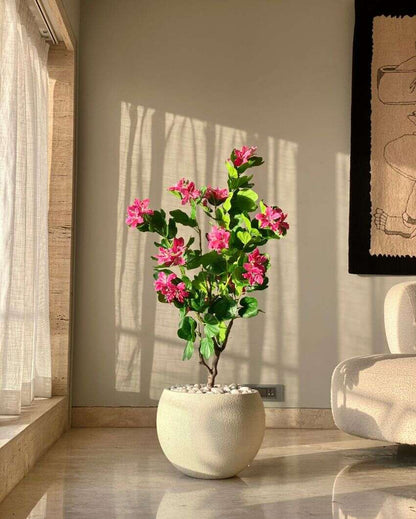 Artificial Blush Bauhinia Plant | Pot not included