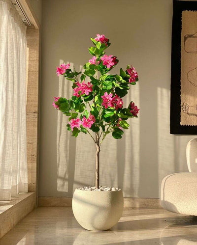 Artificial Blush Bauhinia Plant | 5 Feet | Pot not included