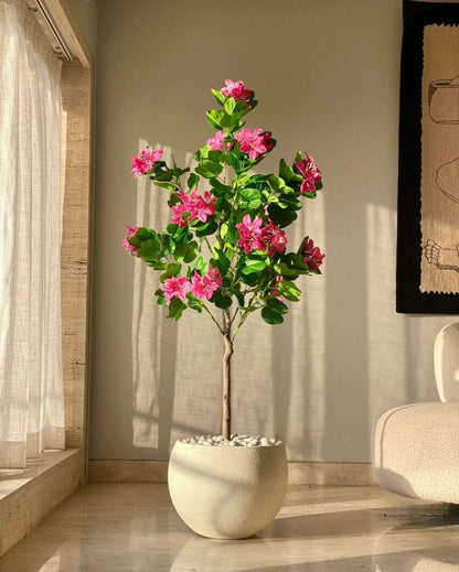 Artificial Blush Bauhinia Plant | 5 Feet | Pot not included