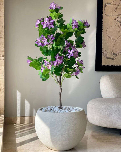 Artificial Lilac Bauhinia Plant | 5 Feet | Pot not included