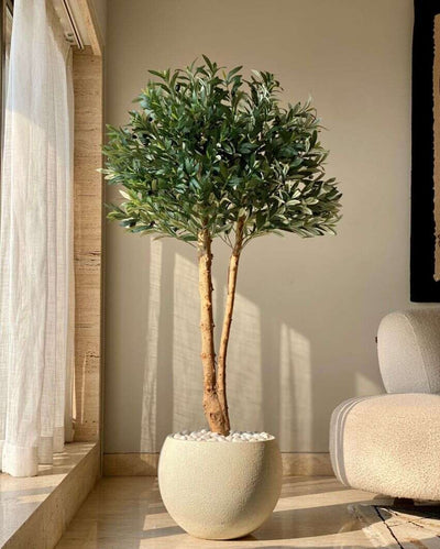 Artificial Olive Allure Plant | 5 Feet | Pot not included